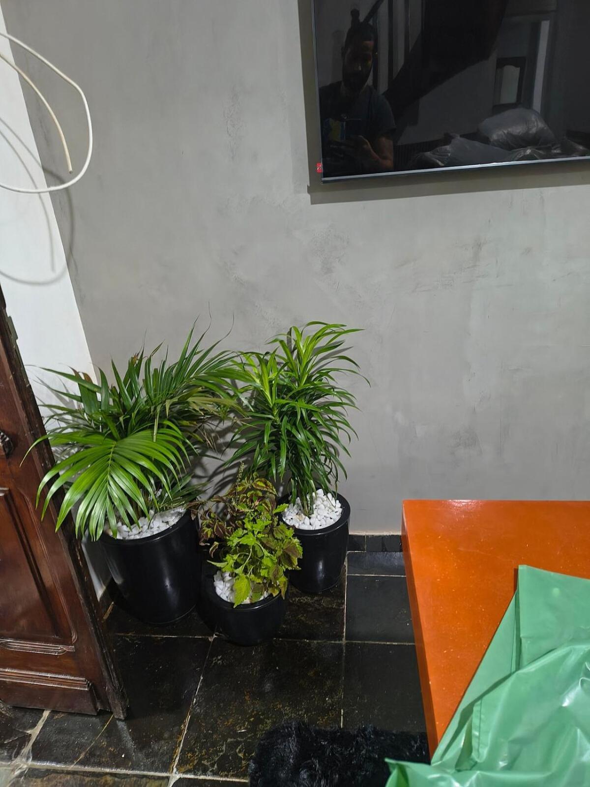 Aconchegante Casa Na Tijuca, Ferienhaus Rio de Janeiro